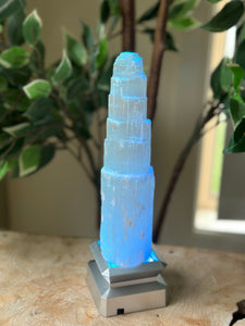 LED Light Base