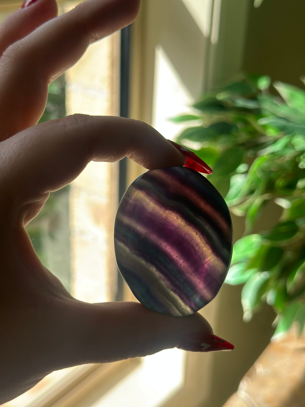 Rainbow Fluorite Palmstone