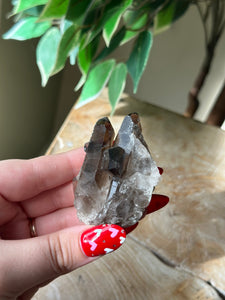 Small Smokey Quartz Cluster
