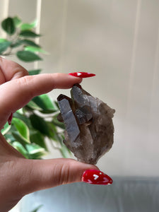 Small Smokey Quartz Cluster