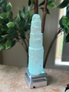 LED Light Base
