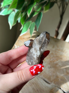 Small Smokey Quartz Cluster