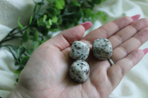 Kiwi Jasper Tumble