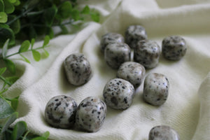 Kiwi Jasper Tumble