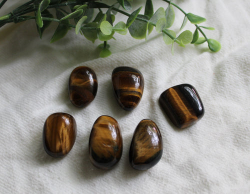 Tigers Eye Tumble - Medium
